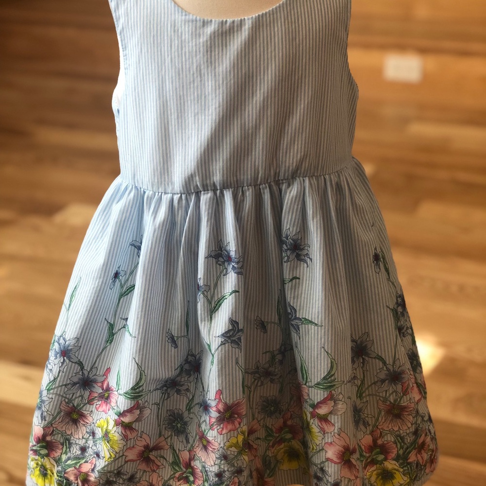 Baby GAP Floral and Striped Dress